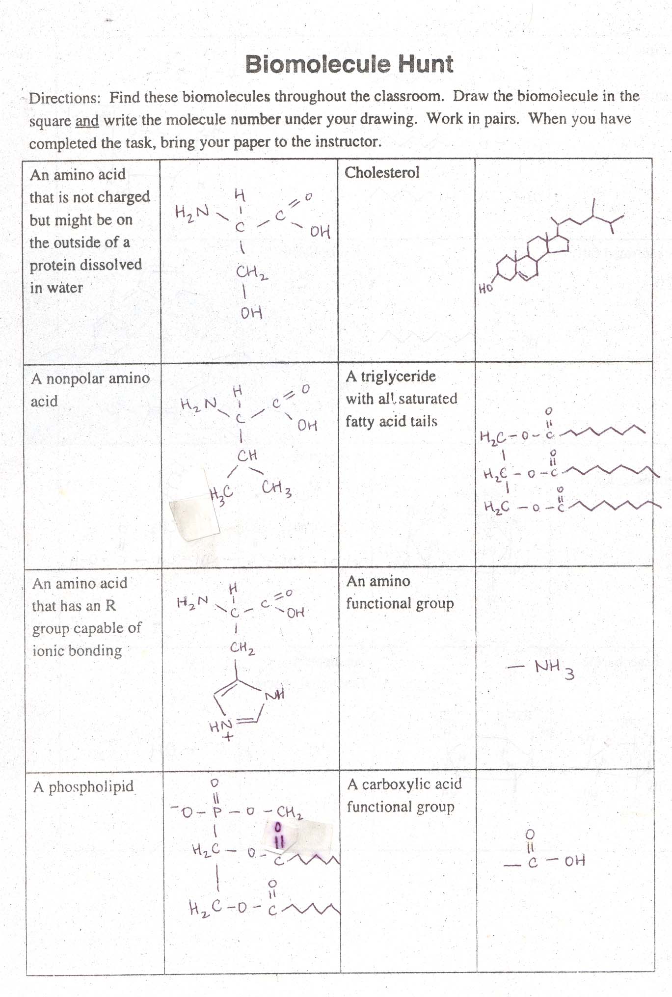 biomolecules-questions-and-answers